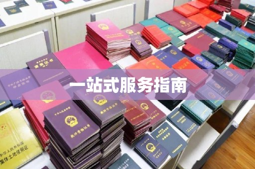 苏尼特右旗一站式服务指南