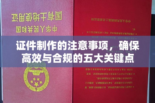 苏尼特右旗证件制作的注意事项，确保高效与合规的五大关键点