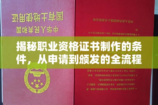 苏尼特右旗揭秘职业资格证书制作的条件，从申请到颁发的全流程解析